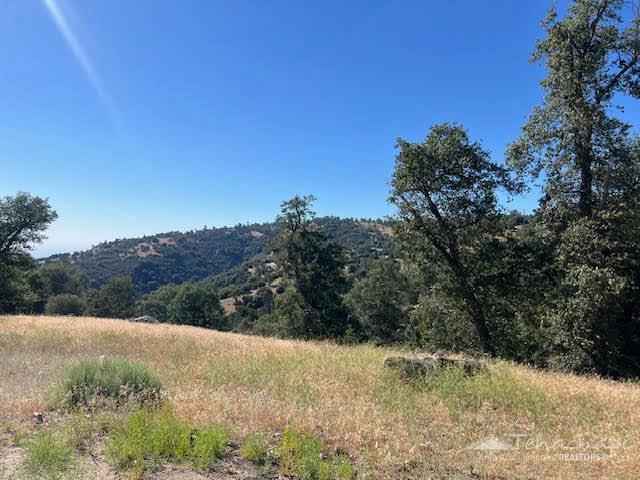 29601 Springwood Court