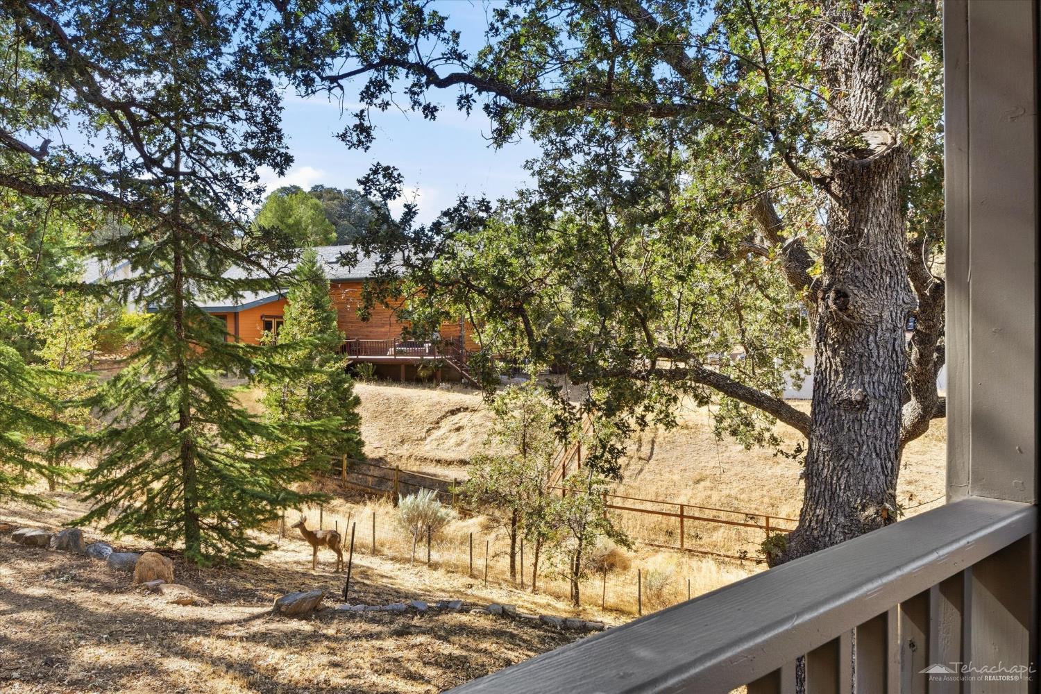 17895 St. Moritz Court