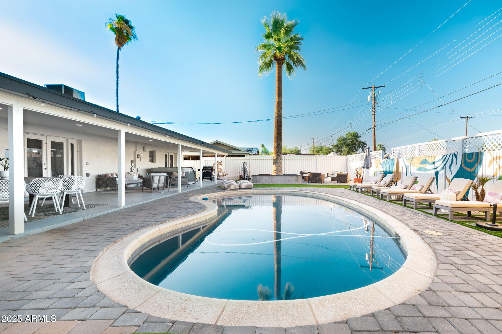 DESERT PALM