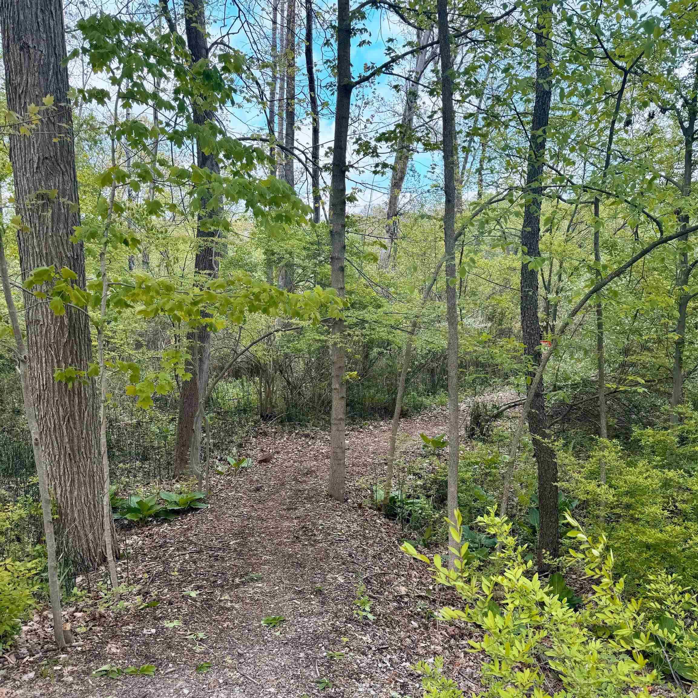 905 Hidden Oak Hill Lane