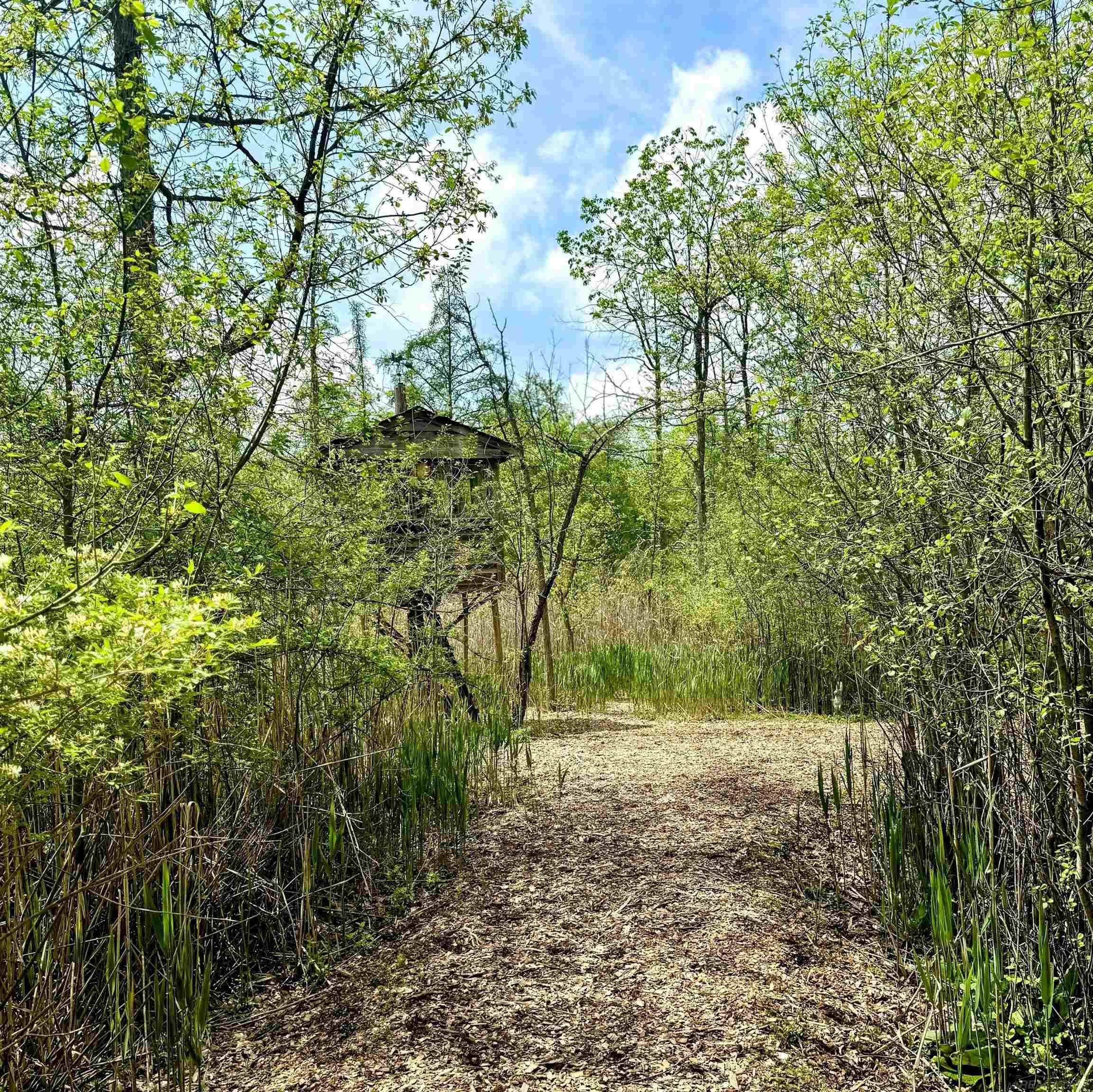 905 Hidden Oak Hill Lane