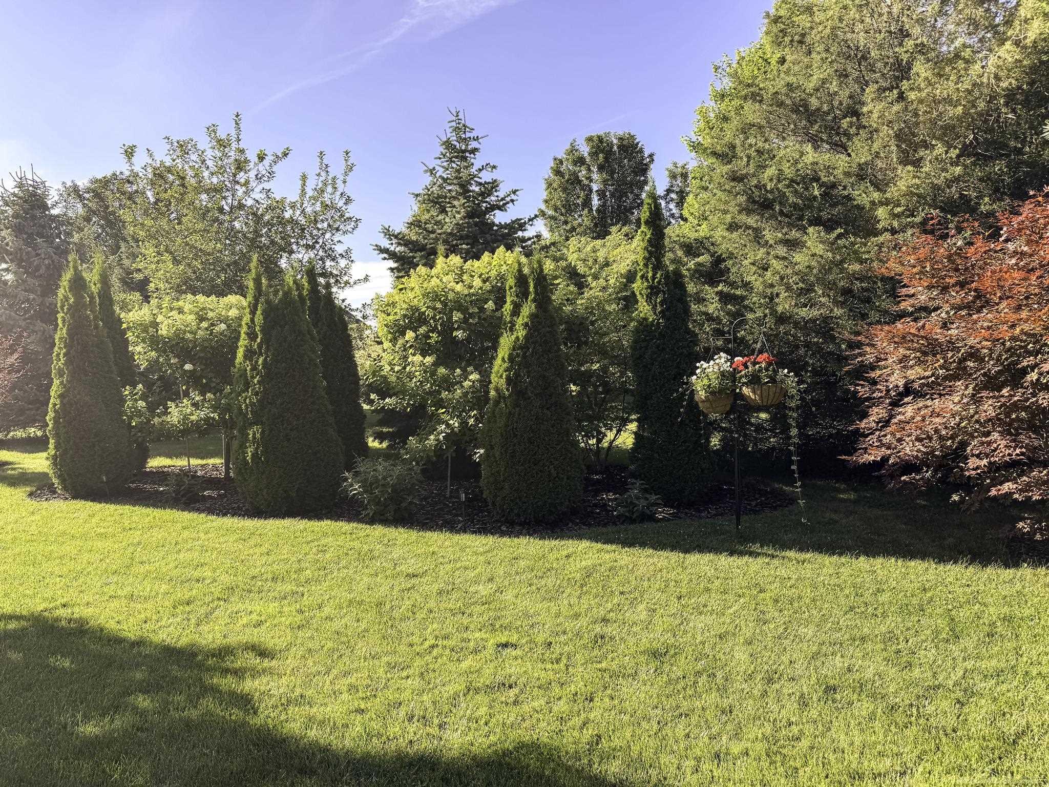 7006 Greenbush Lane