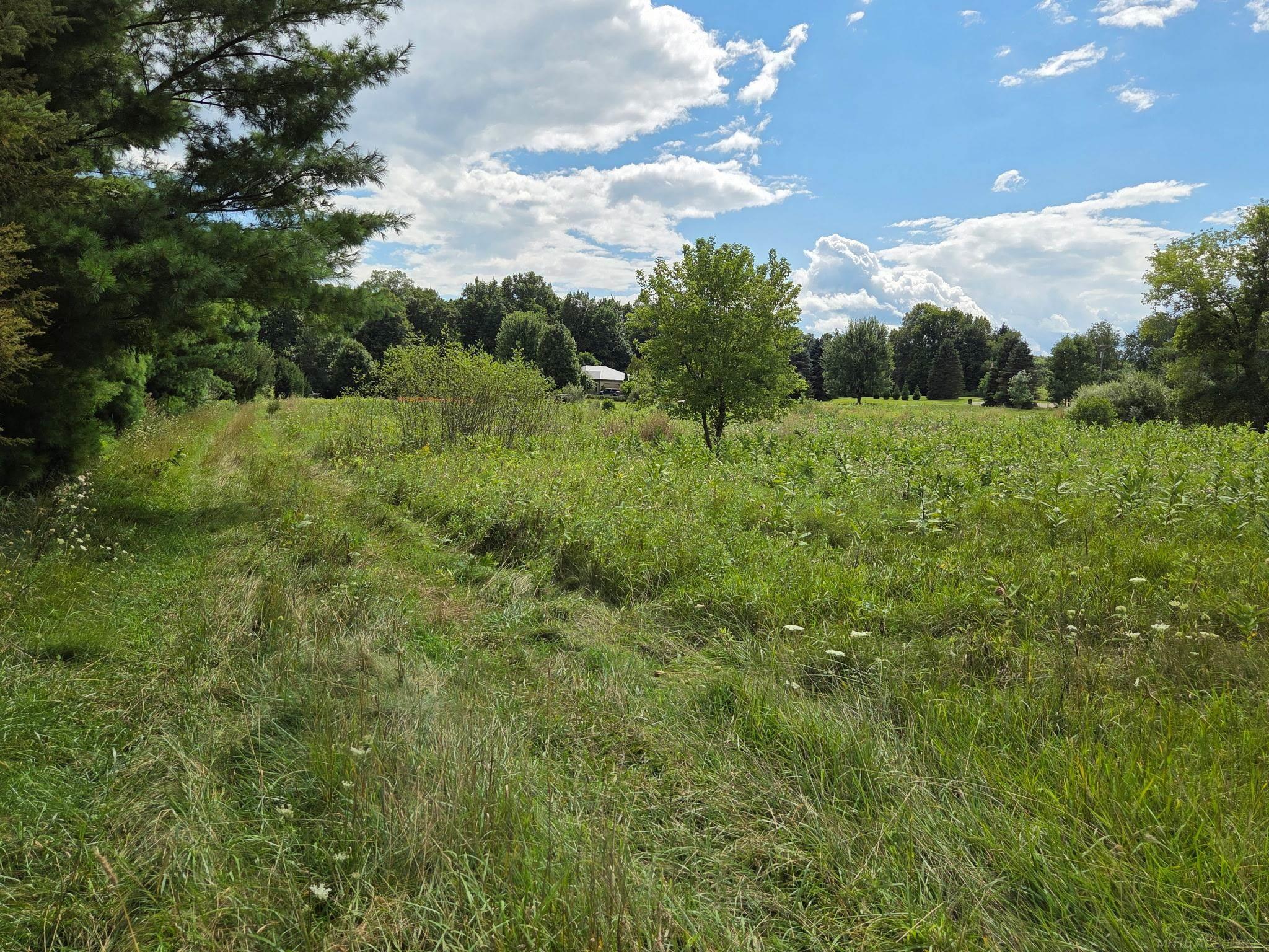 91 Lone Oak Drive