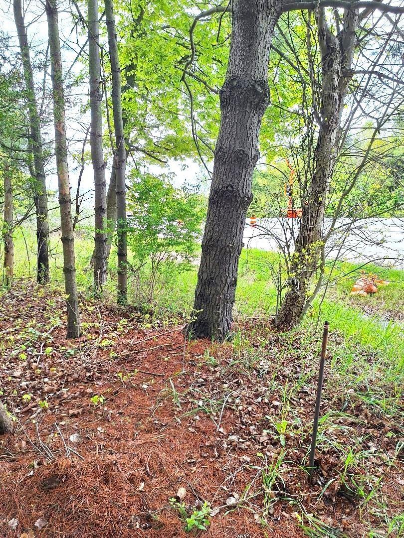 Parcel 2 Lakeshore Road