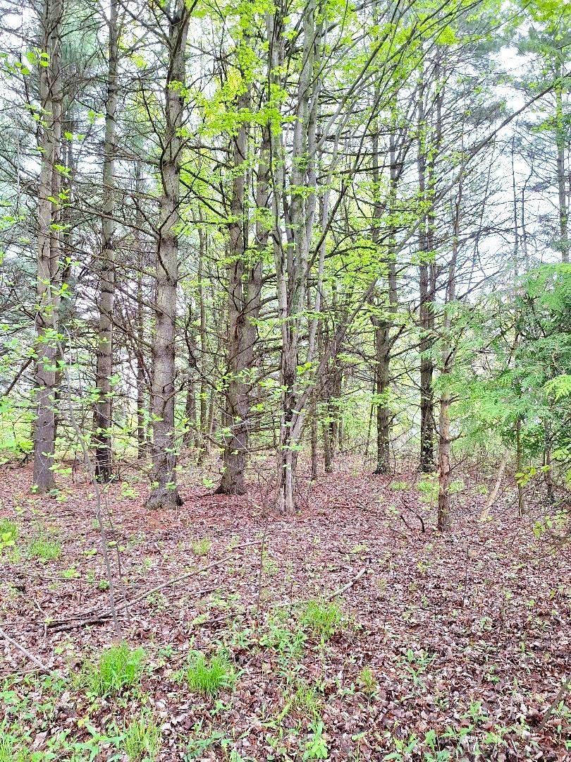 Parcel 2 Lakeshore Road