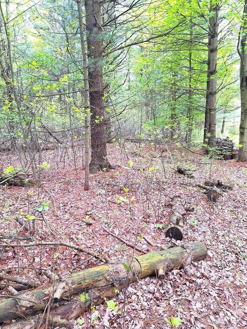 Parcel 2 Lakeshore Road