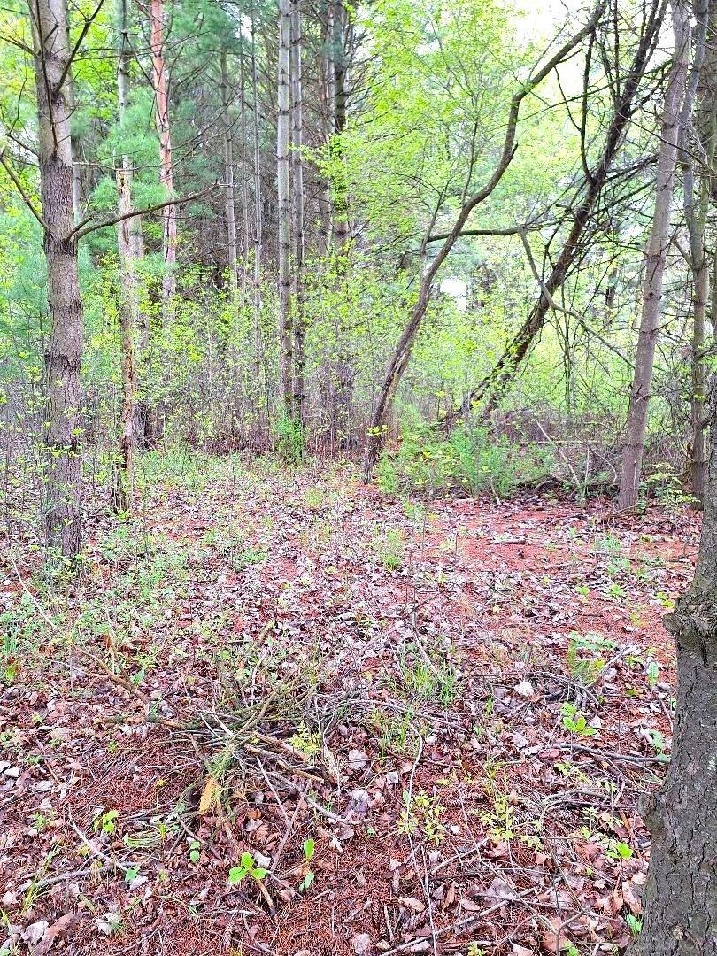 Parcel 2 Lakeshore Road