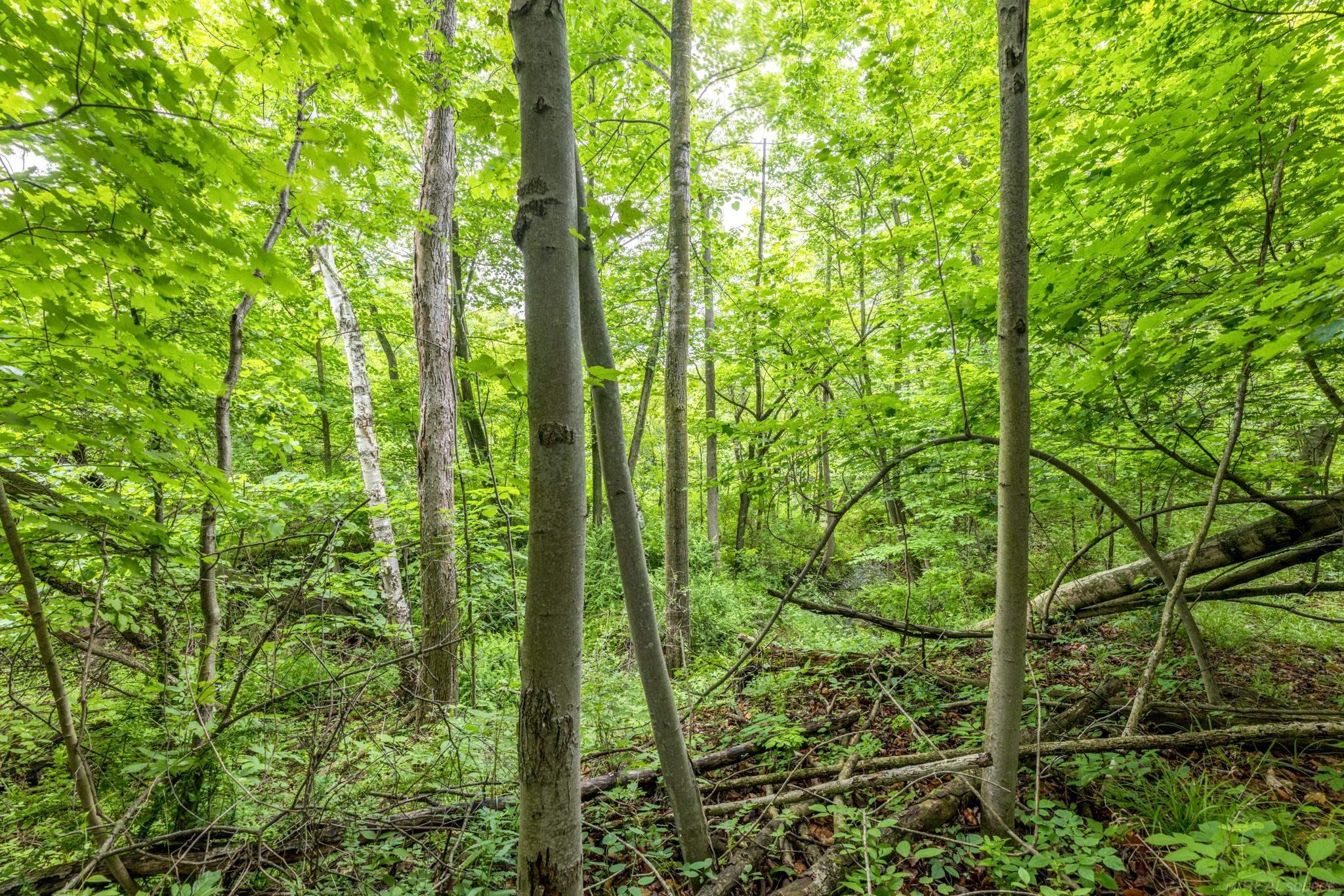 4484 Lakeshore Road