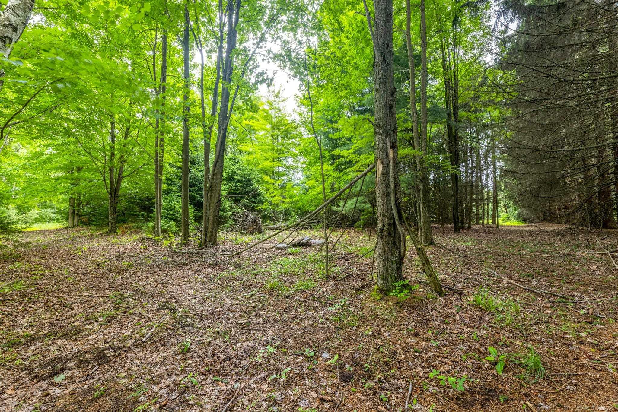 4484 Lakeshore Road