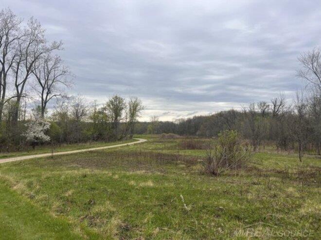 1085 Bear Creek Court