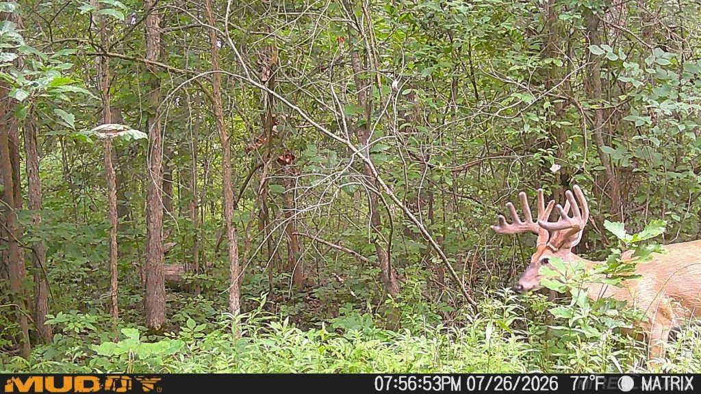 30580 25 Mile Road