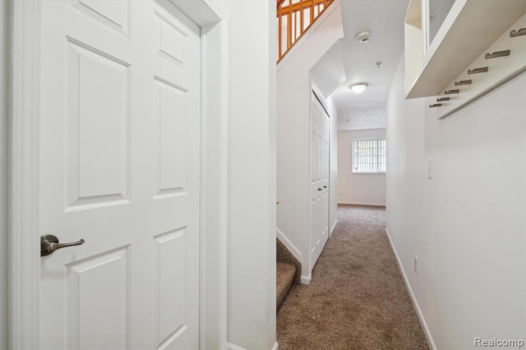 61 Winder Street # 79