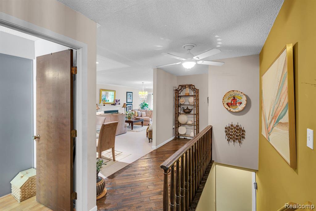 26062 Summerdale Drive
