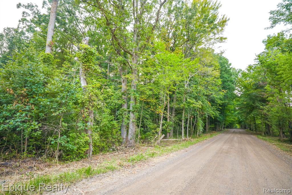 00TBD Hagerman Road