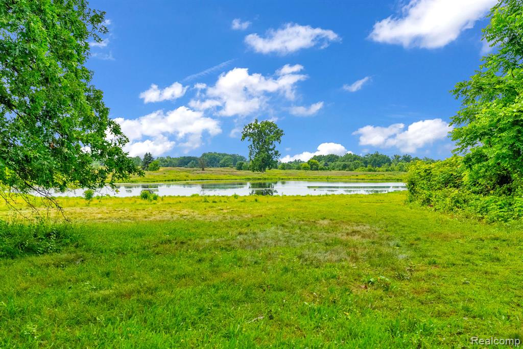 11656 Kings Colony