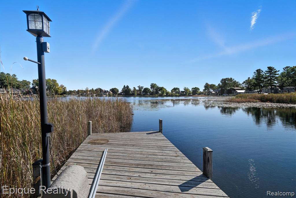 239 Pine Tree Road
