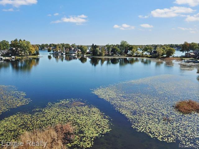 239 Pine Tree Road