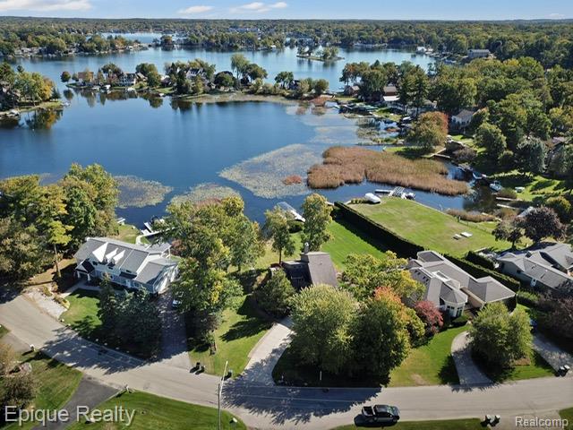 239 Pine Tree Road