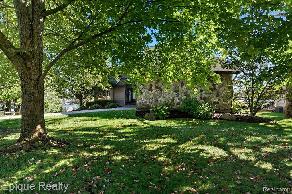 239 Pine Tree Road