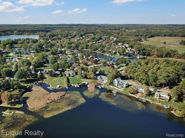 239 Pine Tree Road