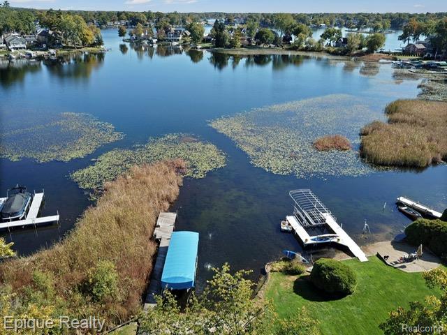 239 Pine Tree Road