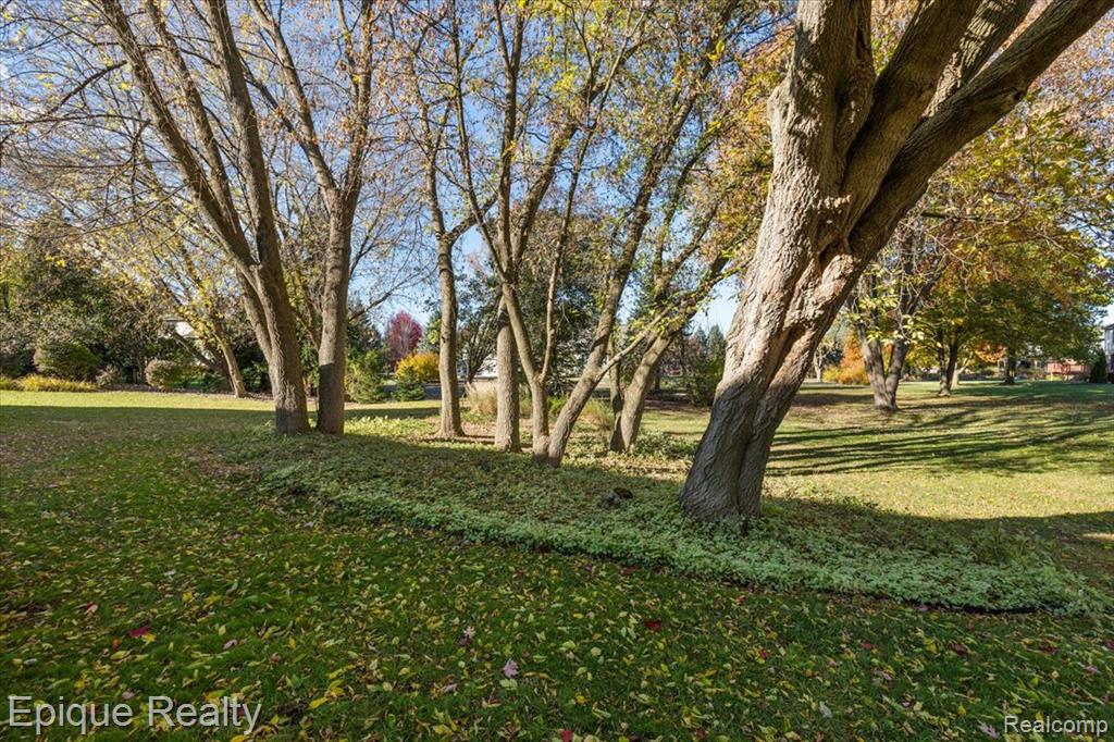 374 Oakbridge Drive