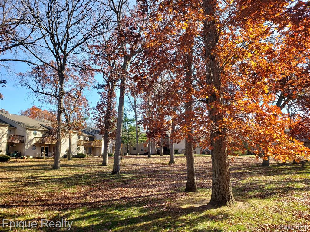 4977 Oak Hill Drive