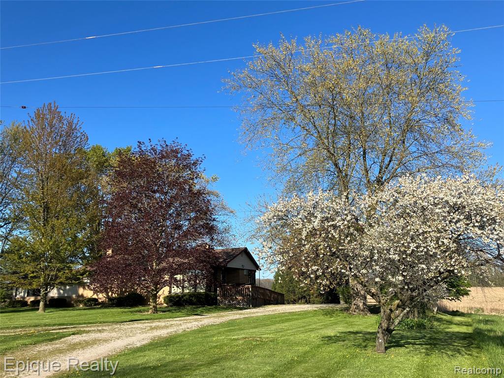 5426 Wildcat Road