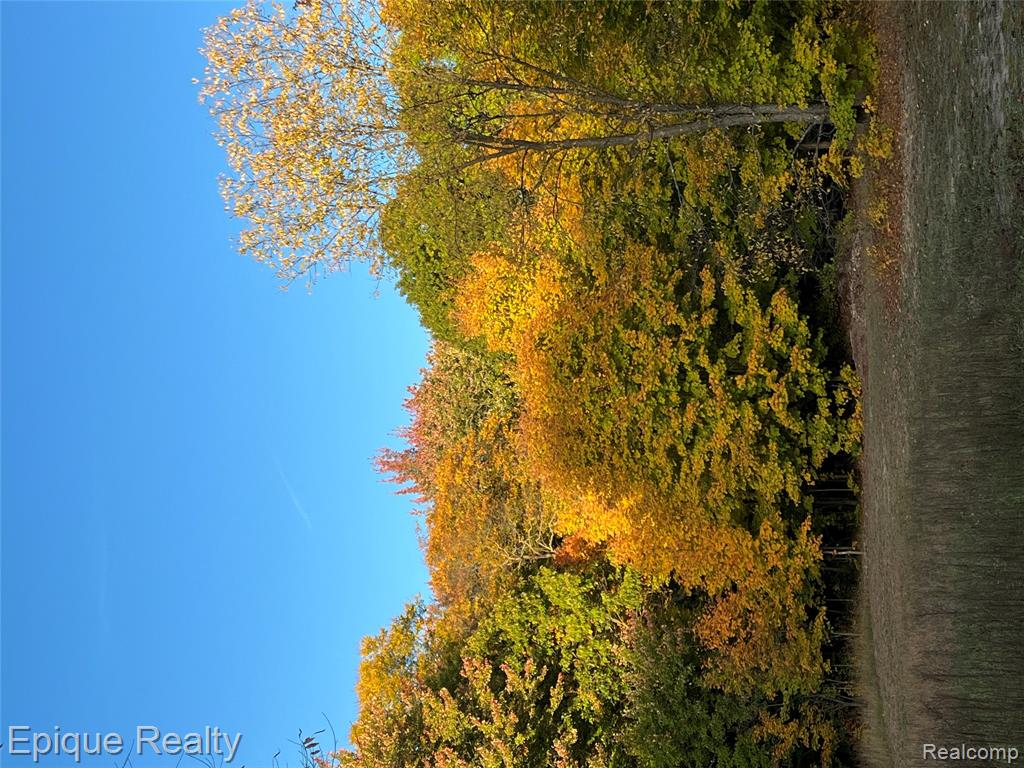 20730 Betsie Highland Drive