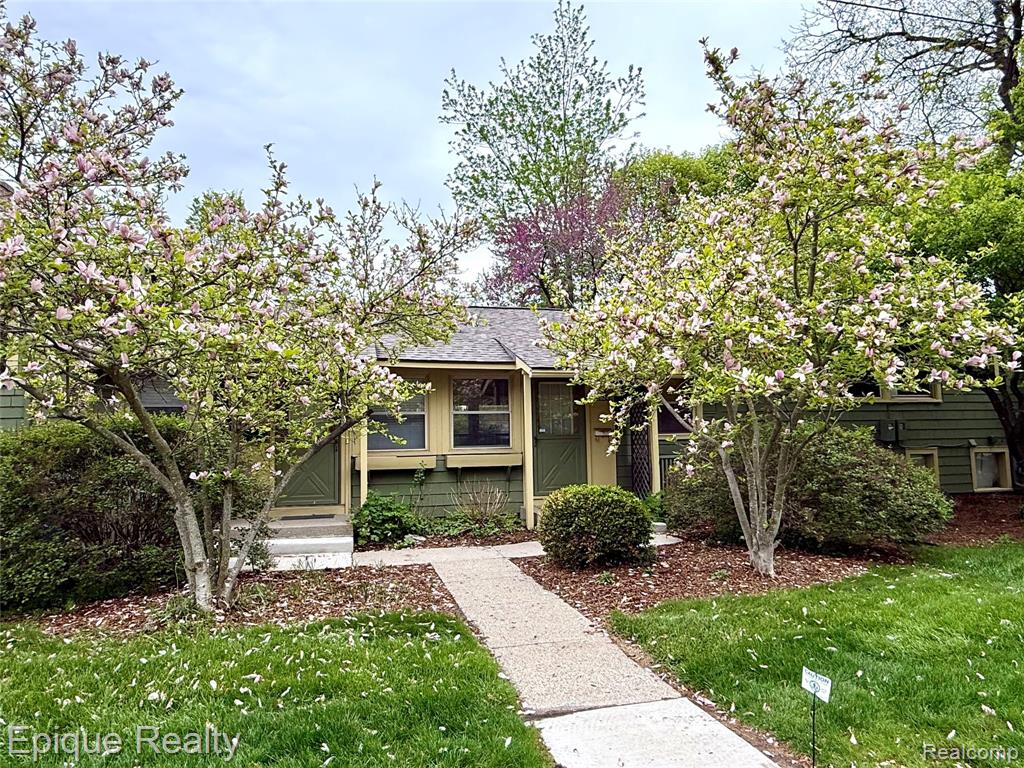 2824 Whitewood Street