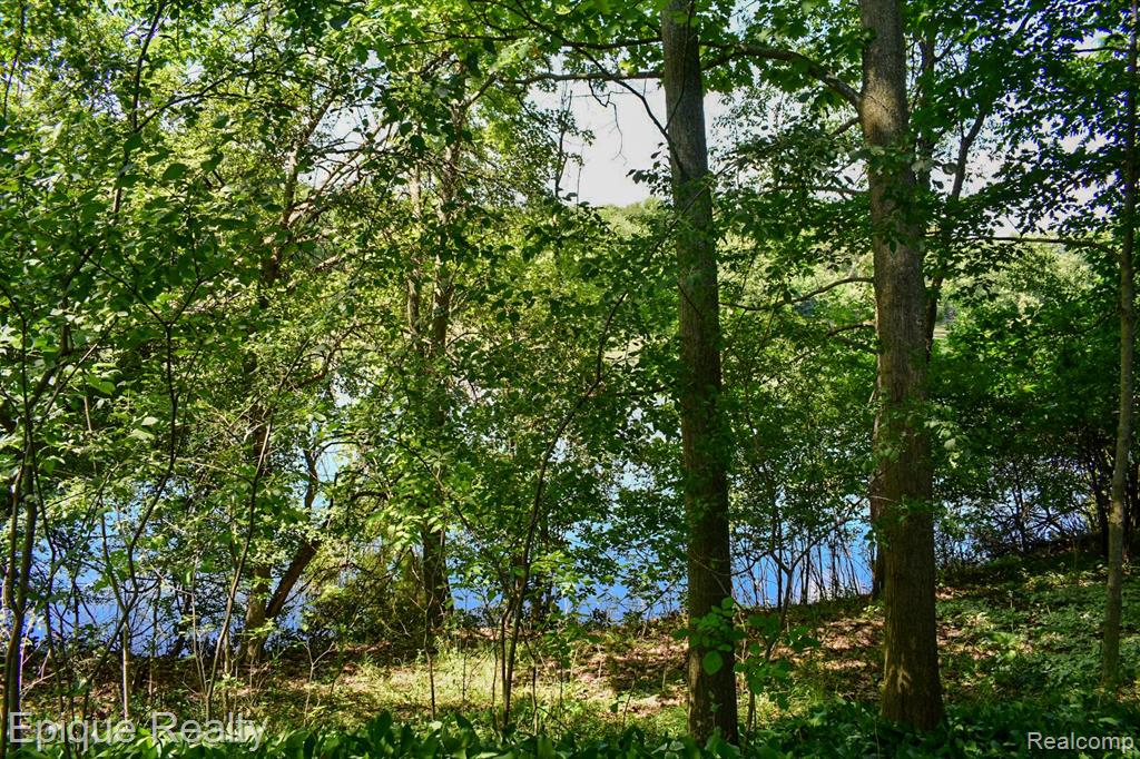300 W Dewey Road