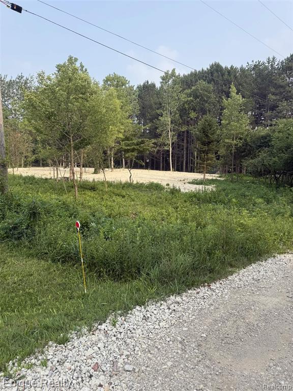 00 Hemlock Dr