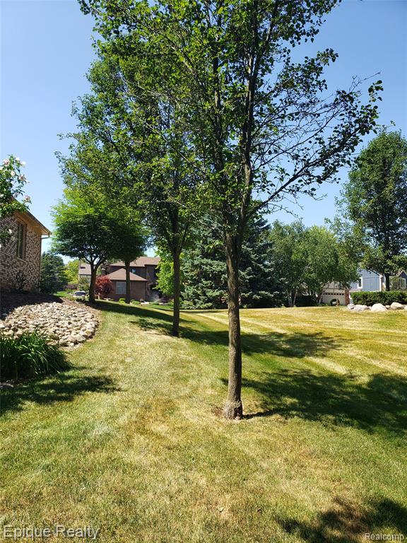 1162 Grandview Drive