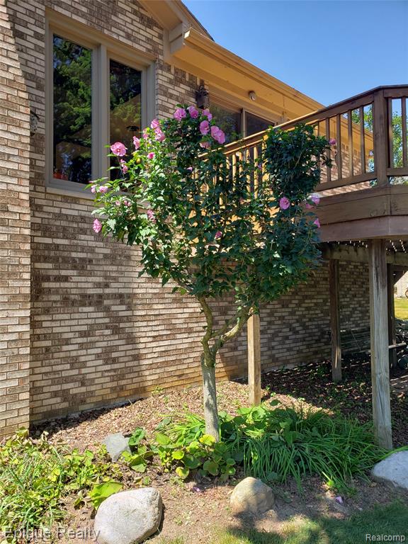 1162 Grandview Drive