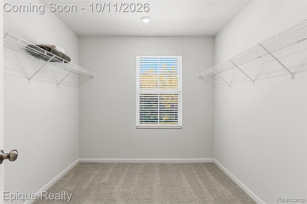 7341 Red Maple Drive