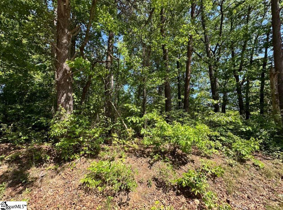 2910 Locust Hill Road