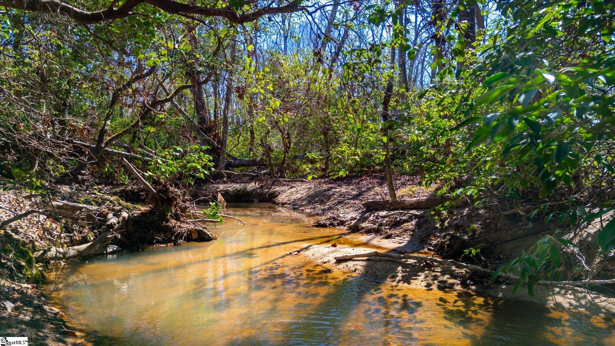 295 Todds Creek Road