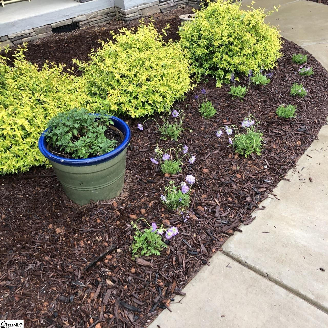 427 S Pendernale Drive