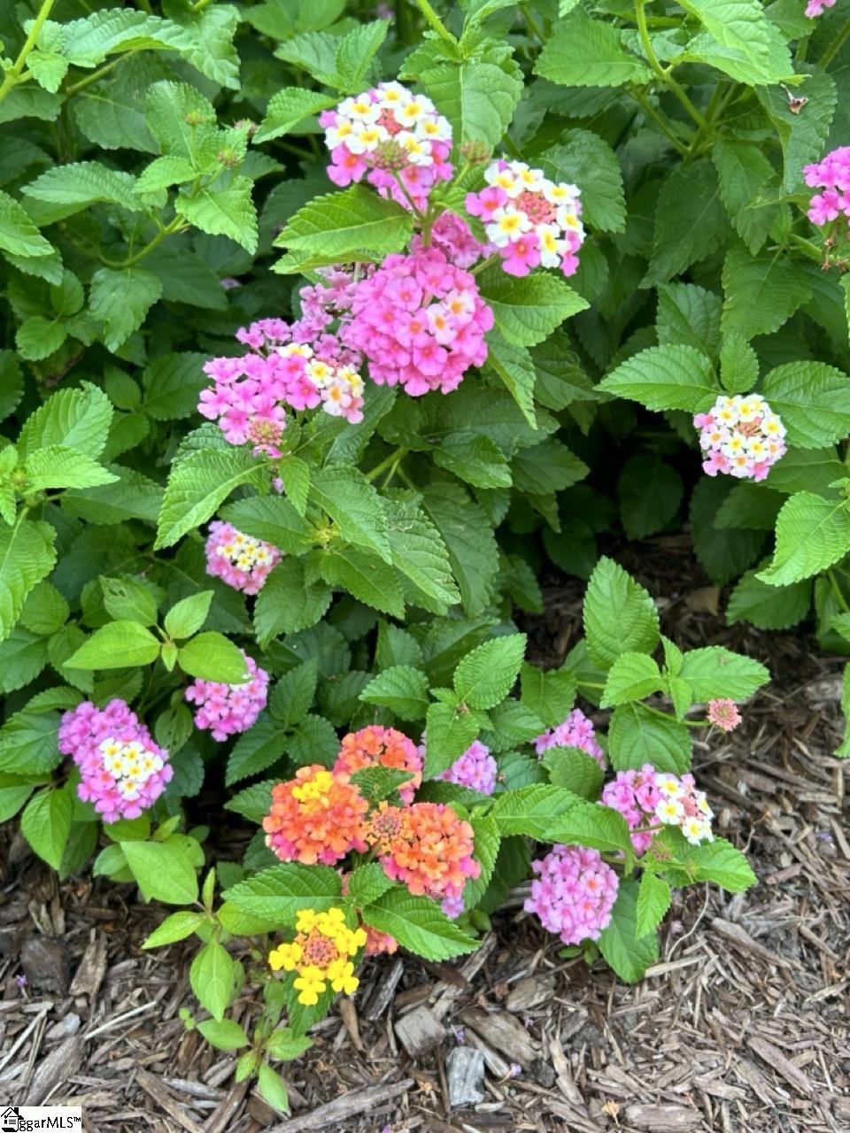 427 S Pendernale Drive