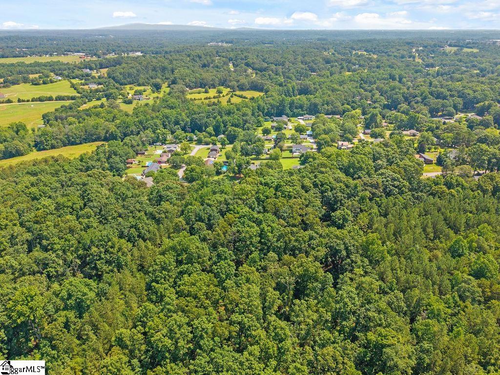 1117 Briarwood Drive
