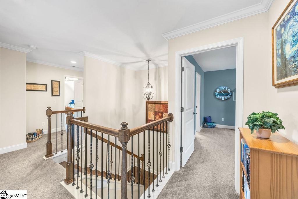 10 Meadowgold Lane