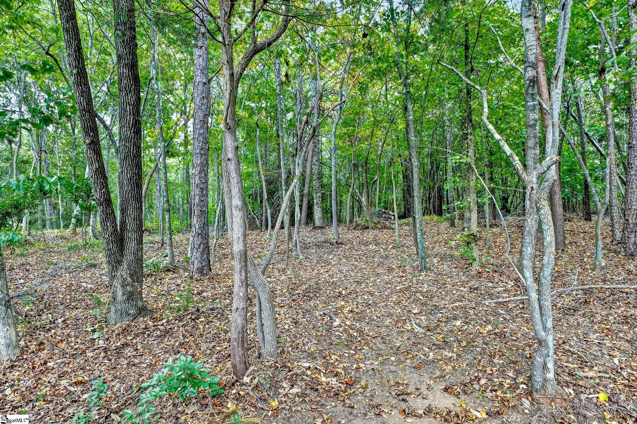 907 Sugar Oak Court
