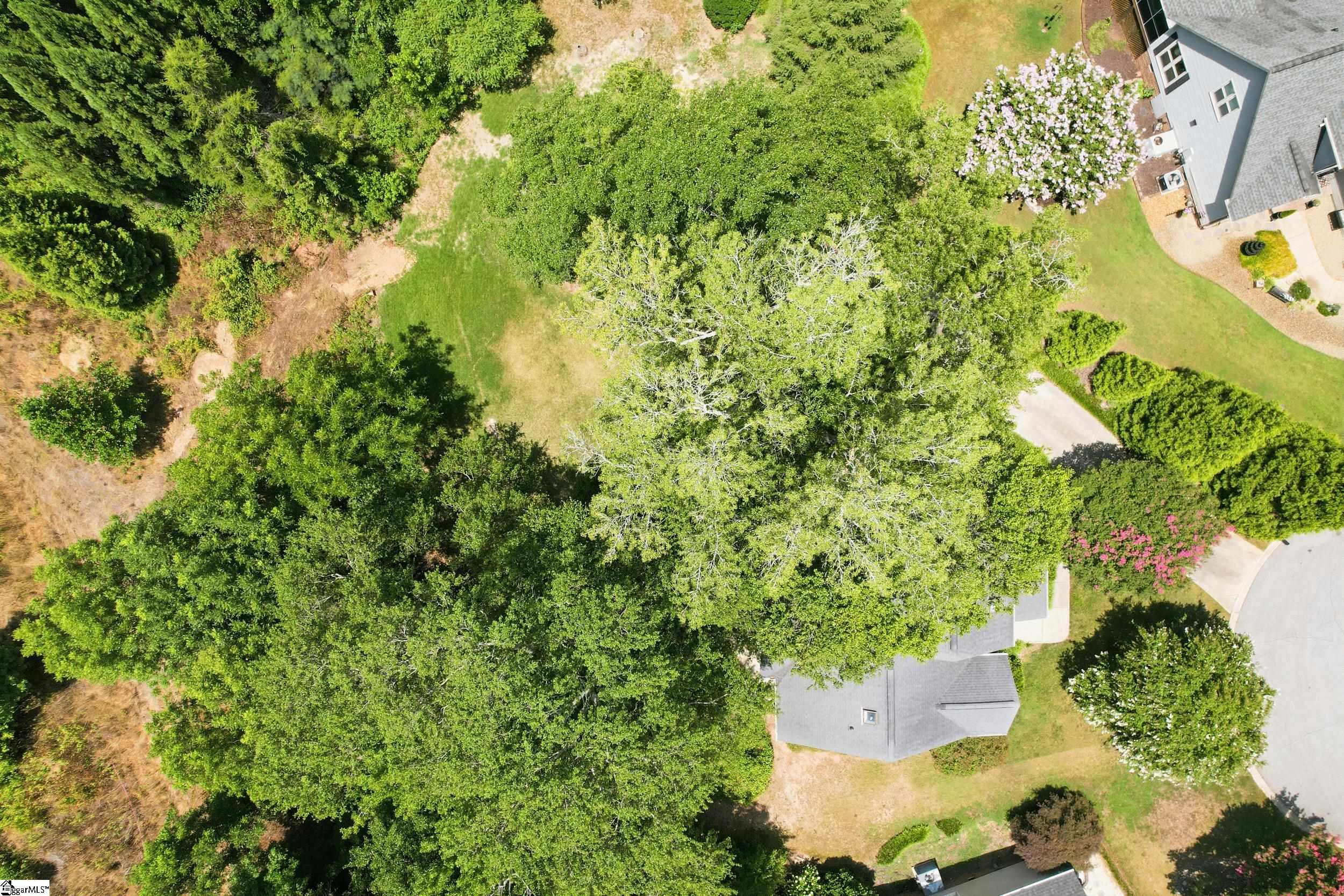 319 Wild Rice Drive