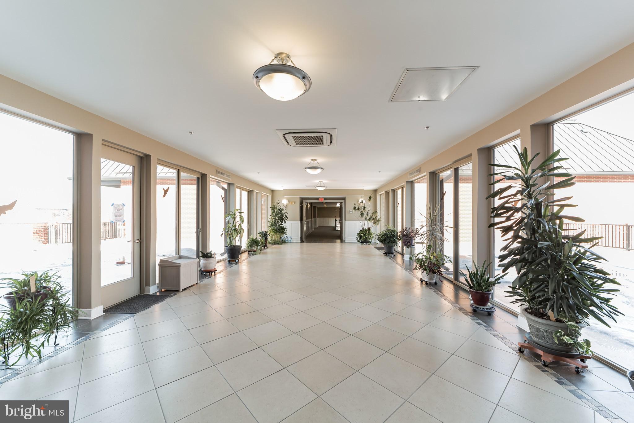 113 E MAIN STREET UNIT 316