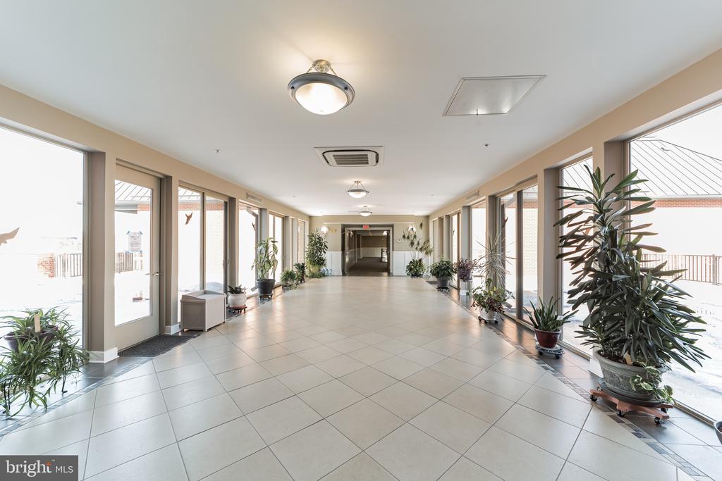 113 E MAIN STREET UNIT 316