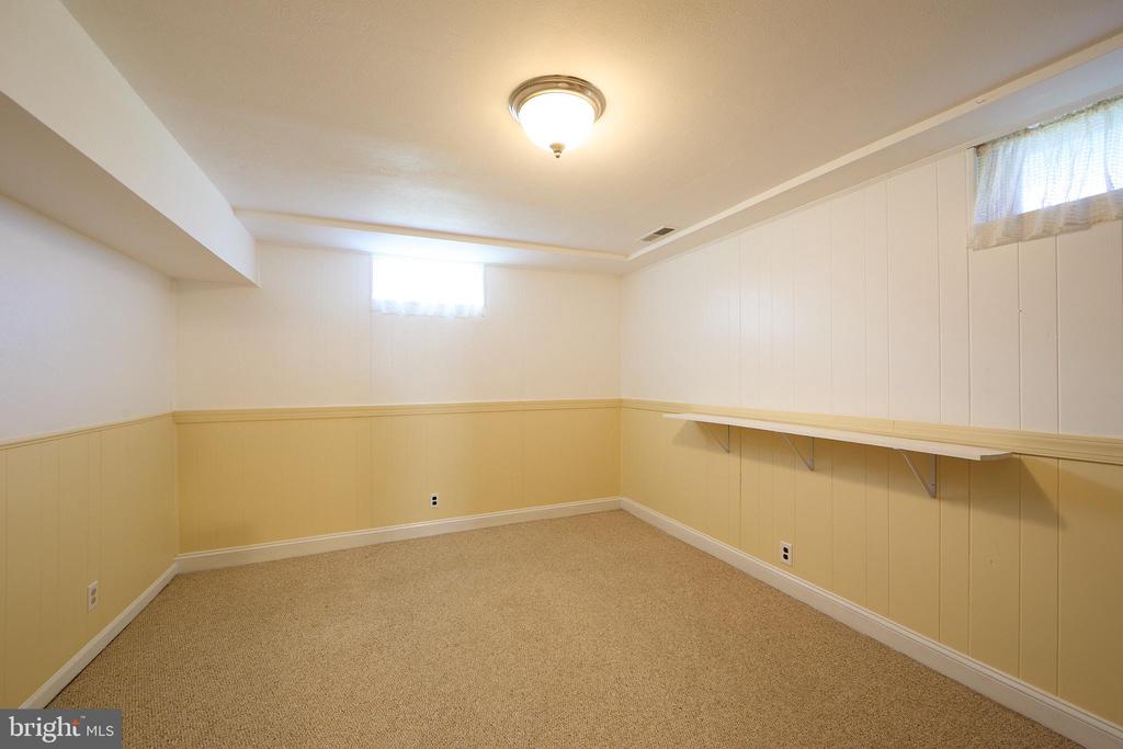 Finished basement room with tan carpet, paneled walls, and a long built-in shelf.