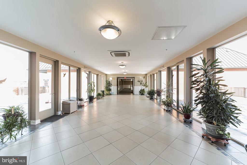 113 E MAIN STREET Unit: 207