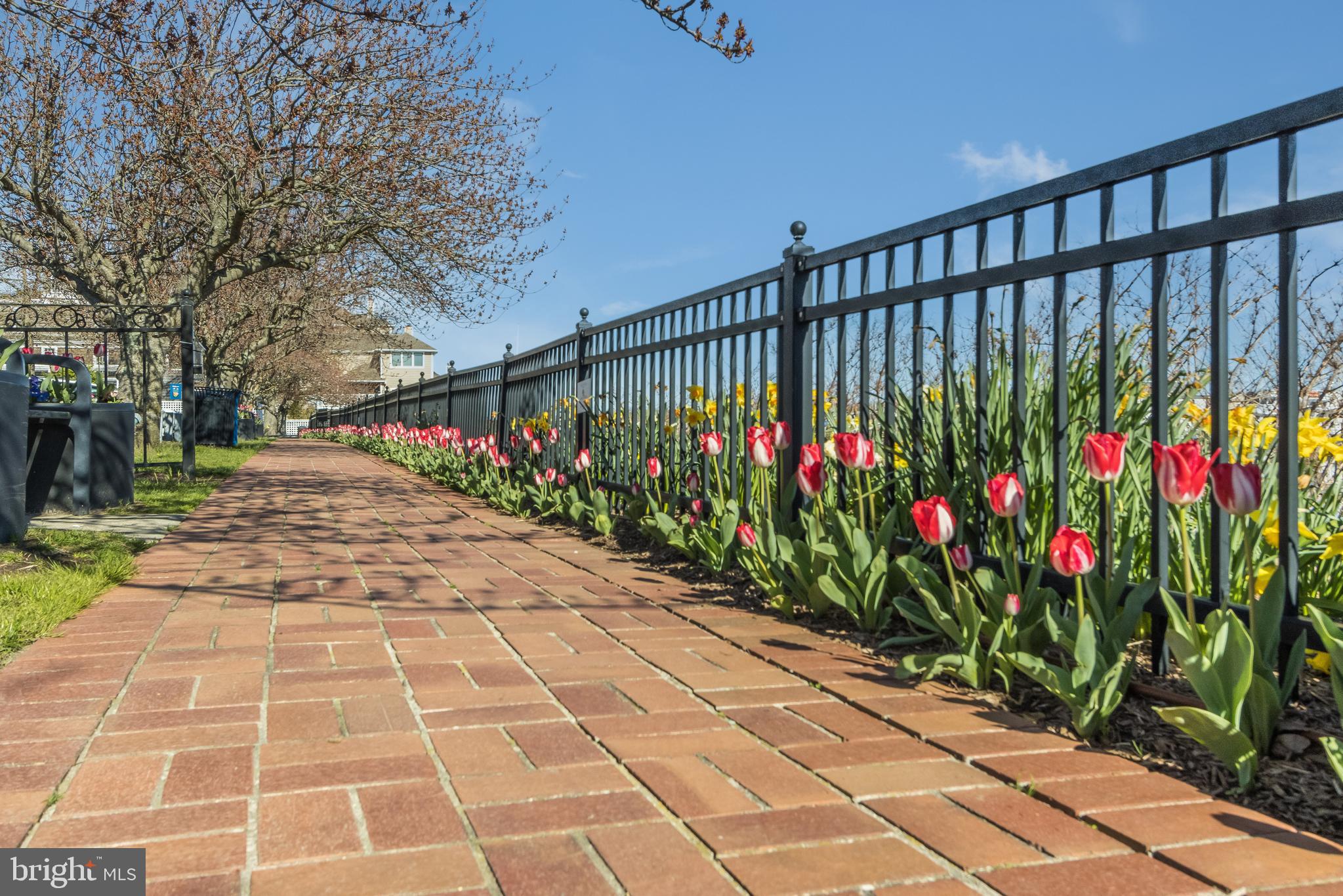 33099 GRAPE VINE COURT