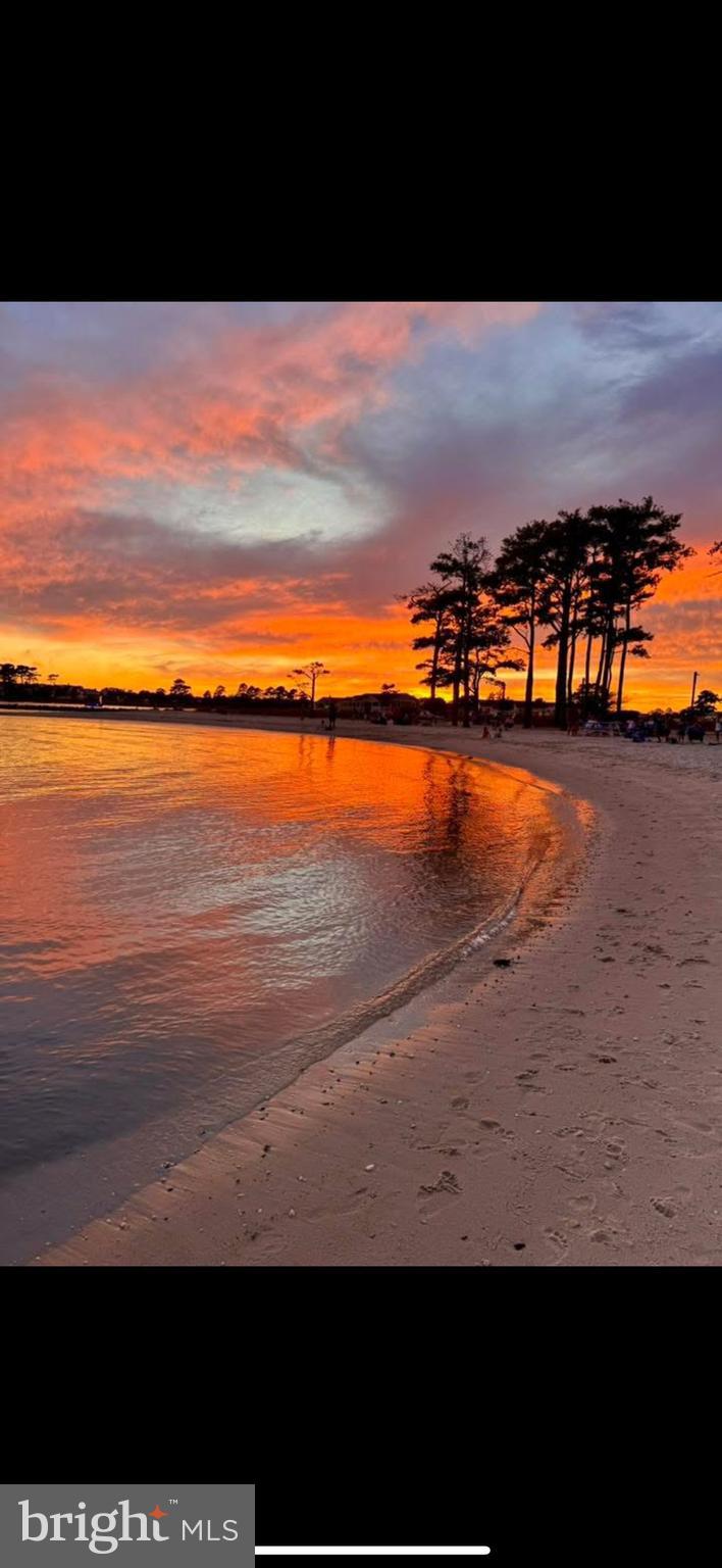 26356 PINE CONE DRIVE 37653