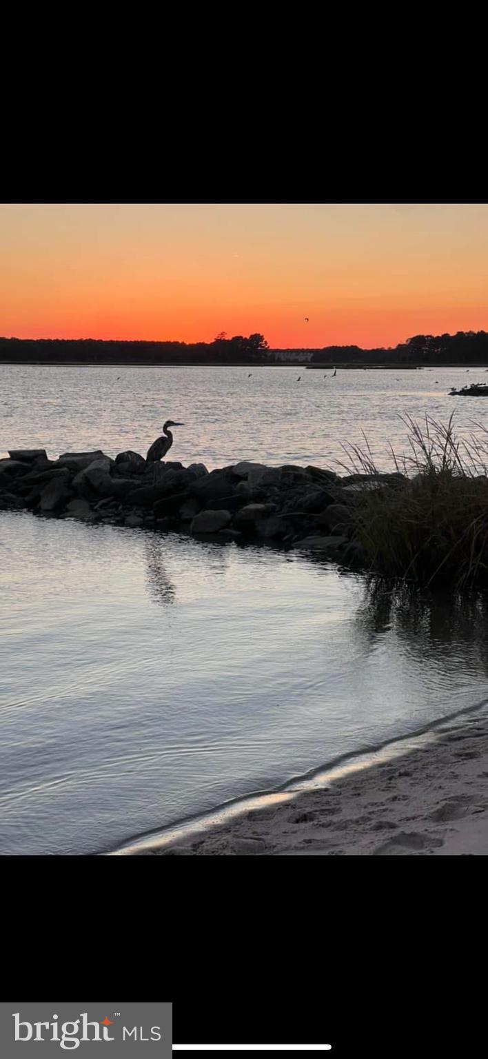 26356 PINE CONE DRIVE 37653